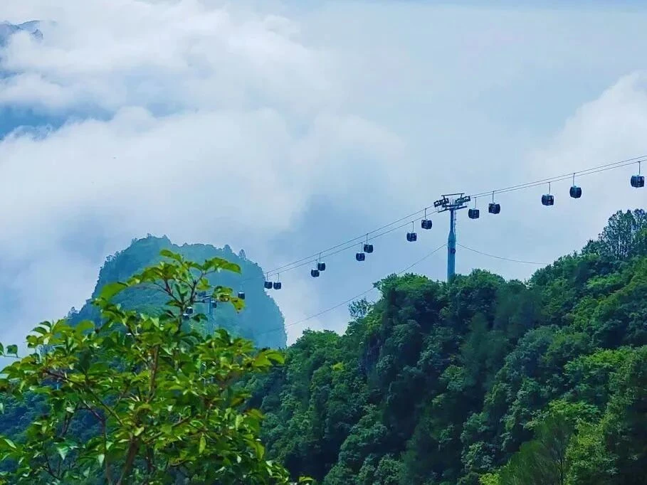 微信图片_2025-09-07_141506_777.jpg